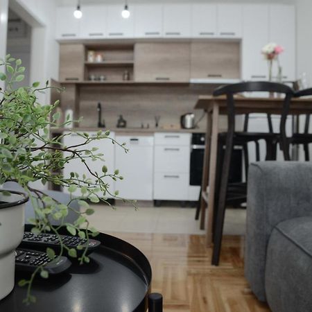 נובי סאד Apartment Dobraya Grey מראה חיצוני תמונה