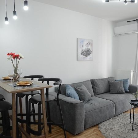 נובי סאד Apartment Dobraya Grey מראה חיצוני תמונה