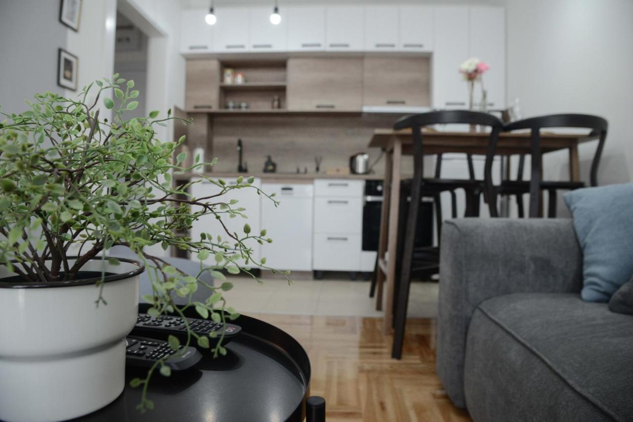 נובי סאד Apartment Dobraya Grey מראה חיצוני תמונה