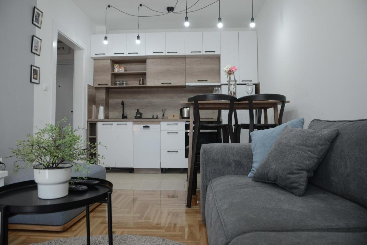 נובי סאד Apartment Dobraya Grey מראה חיצוני תמונה